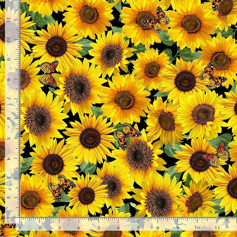 Packed Sunflowers & Butterflies on Black