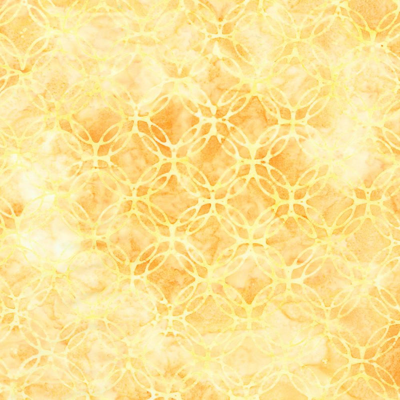 Peachy Yellow Interlocking Circles Tonal