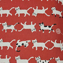 White Cats in Line on Red