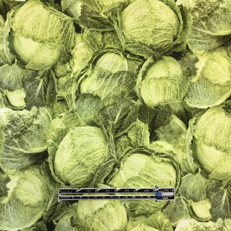 SALE: Green on Green Cabbage