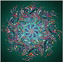 Super Nova Spiral Kit