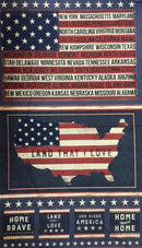 SALE: PANEL -  Land That I