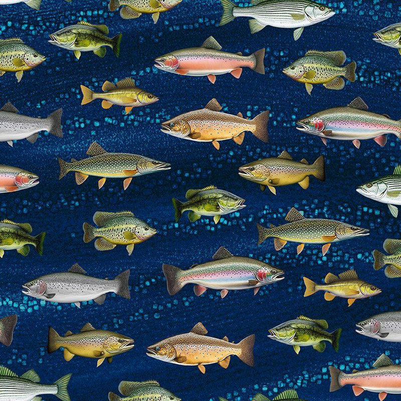 Fish Swimming on Black