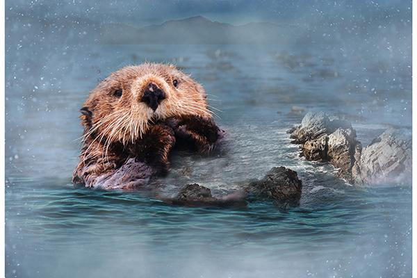Call of The Wild Otter Panel