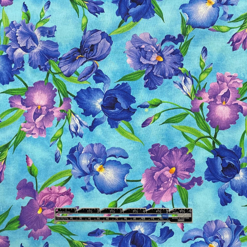 Blue & Purple Iris on Turquoise