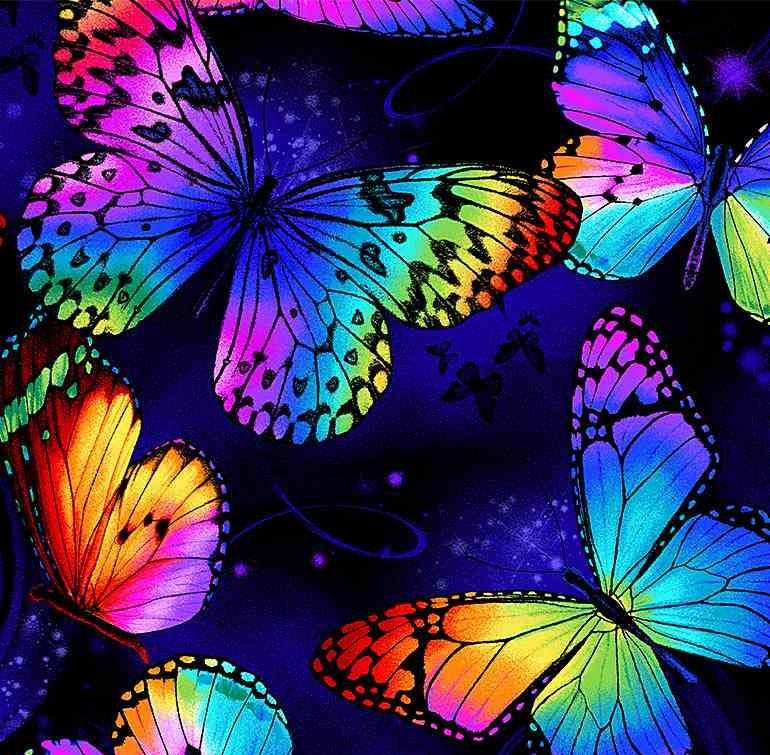 Multi Bright Butterflies Flying on Black