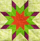 Technique Sheet Blazing Lemoyne Stars Deb Tucker