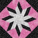 Tech Sheet Twisted Wedge Star