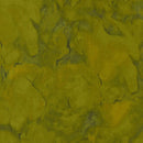 SALE: Olive Green Tonal