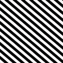 Black & White Bias Stripe Paradox
