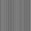 Black & White Pin Stripes