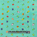 Tula Fruit Snacks on Teal