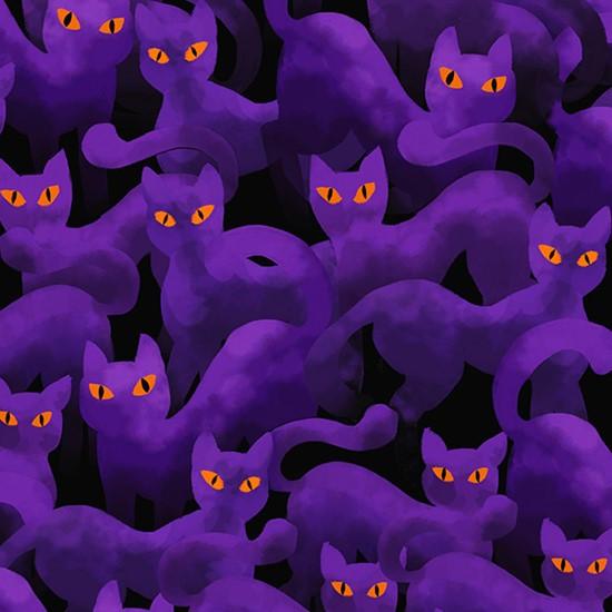 Purple Cats Orange Eyes on Blk