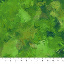 Green Digital Tonal, Flamenco