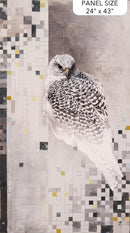 Panel: Falcon Ridge 24" x 43"