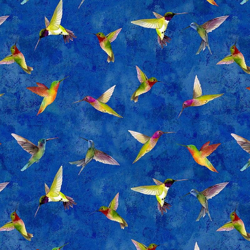 Multi Hummingbirds on Blue many varieties