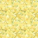 Yellow & Green Leaves on Ground, Wet Leaves, Fallen Leaves