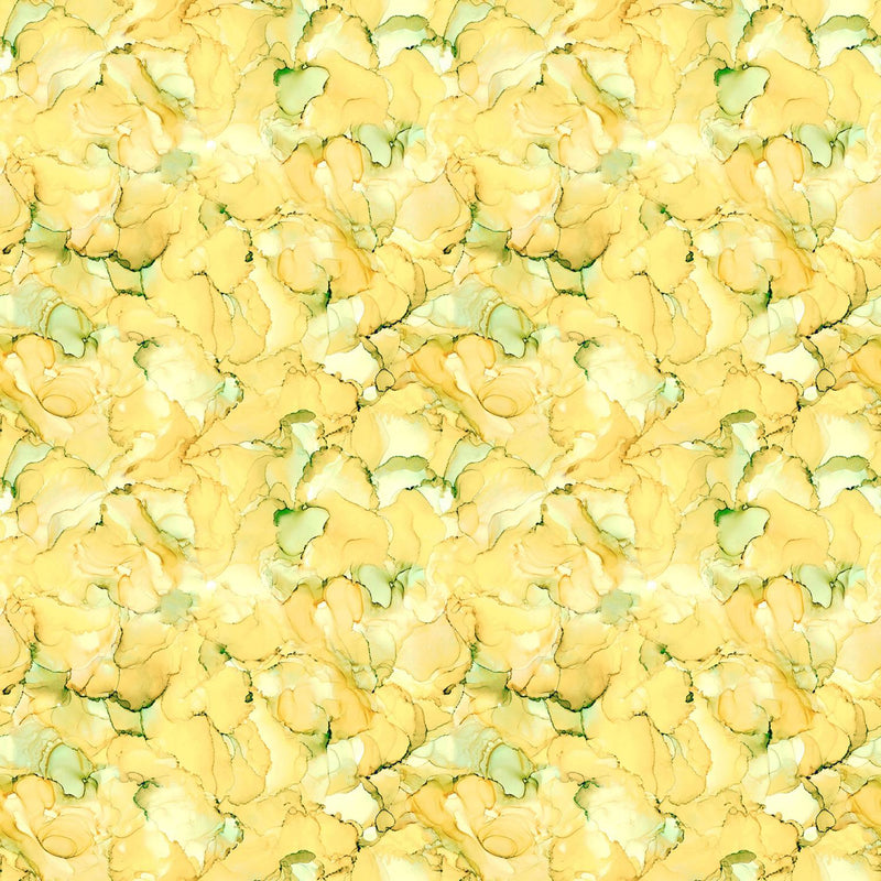 Yellow & Green Leaves on Ground, Wet Leaves, Fallen Leaves