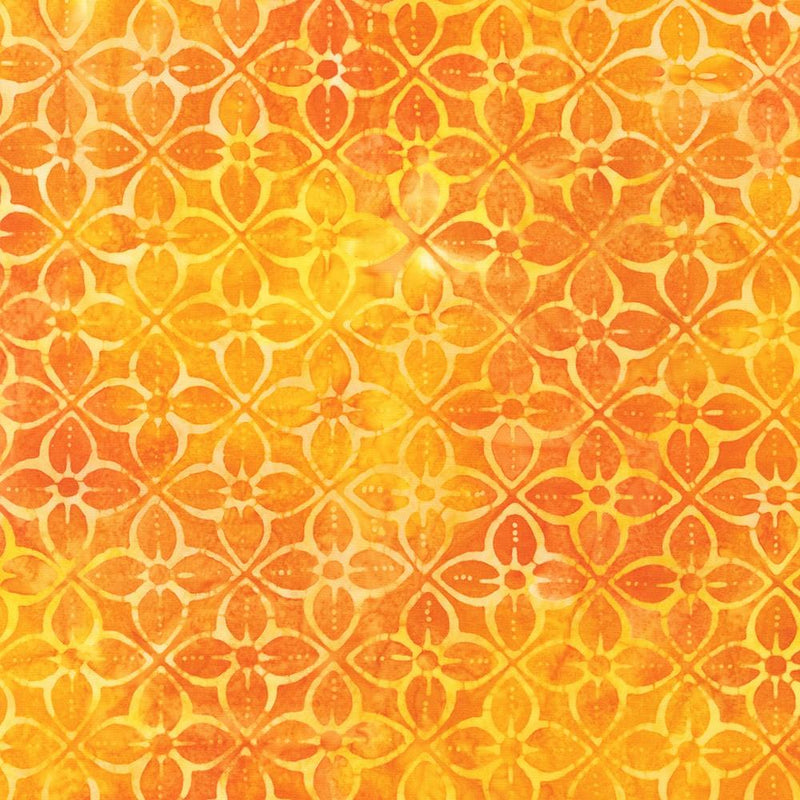 Cheddar Orange Yellow Petal Flowers