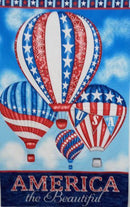 Panel Home of the Brave