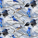 Blue Jays on Trees in Winter