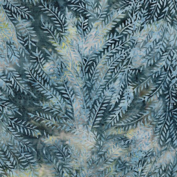 Grey blues/ Pine branches
