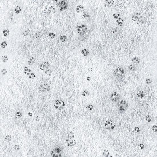 Animals footprints in the snow