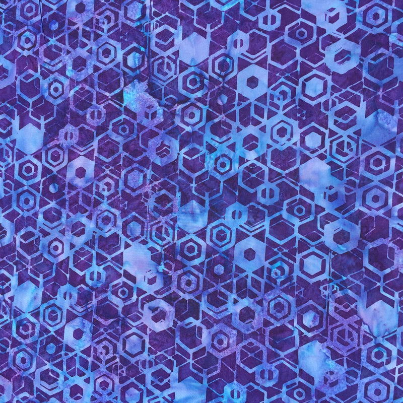 Sallvia Hexagons on Purple
