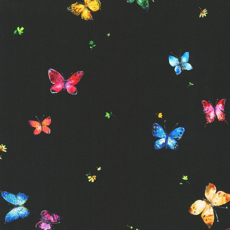 Small Colorful Butterflies on Black