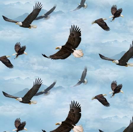 Small Eagles Soaring in Blue Sky